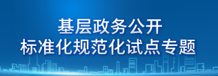 基層政務公開標準化規(guī)范化試點專題