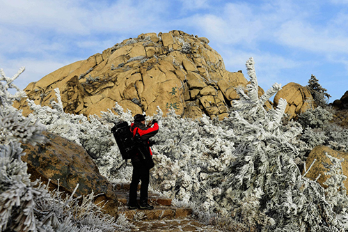 2月14日，在山東青島靈珠山，一名游客在拍攝因降溫而出現(xiàn)的霧凇。