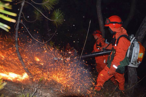 2月15日，迪慶森警官兵撲打明火。當(dāng)日，云南省森林防火指揮部辦公室通報(bào)，14日15時(shí)20分，迪慶藏族自治州香格里拉市上江鄉(xiāng)良美村四隊(duì)發(fā)生森林火災(zāi)，造成撲救人員1死6傷。截至15日10時(shí)左右，火場(chǎng)明火已全部撲滅。起火原因初步確定為燒田埂引起，嫌疑人已被森林公安機(jī)關(guān)控制。新華社發(fā)（馮倫 攝）