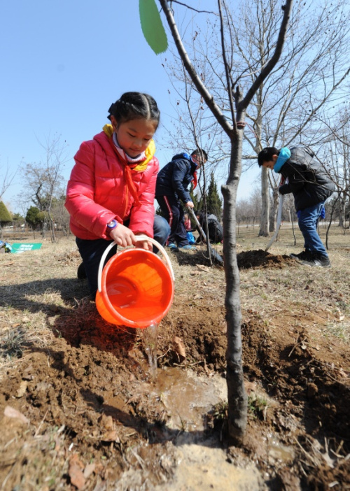 3月11日，煙臺(tái)市瀟翔小學(xué)學(xué)生在濱海路森林公園給小樹(shù)澆水。當(dāng)日，山東省煙臺(tái)市瀟翔小學(xué)舉行“我與小樹(shù)共成長(zhǎng)”主題活動(dòng)，學(xué)生們以實(shí)際行動(dòng)為城市增添綠色，美化生活環(huán)境。新華社發(fā)（初陽(yáng) 攝）