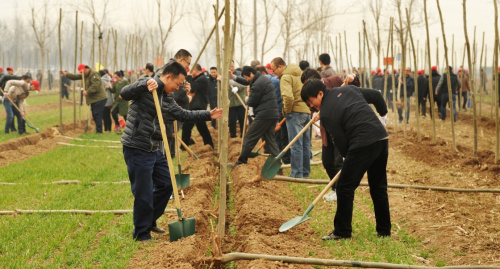 3月12日，市民在滄州市運(yùn)河區(qū)參加植樹(shù)活動(dòng)。新華社記者 牟宇 攝