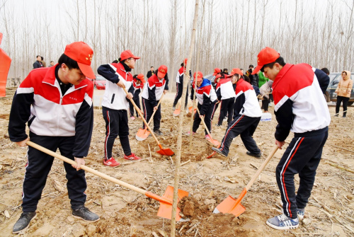 3月12日，河間市職教中心的青年志愿者在興村鄉(xiāng)一綠化區(qū)參加義務(wù)植樹(shù)活動(dòng)。當(dāng)日是植樹(shù)節(jié)，各地開(kāi)展義務(wù)植樹(shù)活動(dòng)，號(hào)召人們行動(dòng)起來(lái)植樹(shù)添綠，美化家園。新華社記者 朱旭東 攝