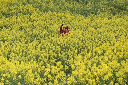 3月12日，游客在重慶市黔江區(qū)阿蓬江流域的油菜花田中拍照留影。新華社發(fā)（楊敏 攝）