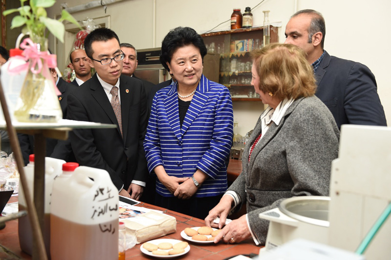 3月28日，在埃及首都開羅，中國國務(wù)院副總理劉延東（中）參觀埃及國家研究中心藥用植物實驗室。