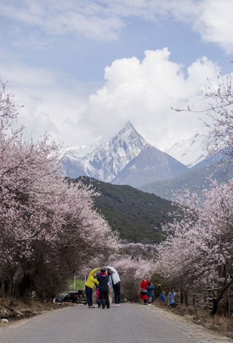 游客在西藏波密縣境內(nèi)的路上和桃花美景合影（4月1日攝）。