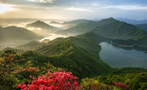 山花映襯下的霍山縣屋脊山（4月9日攝）。新華社發(fā)（杜向明 攝）