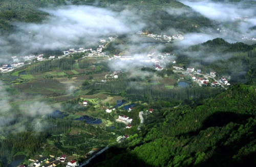 俯瞰云霧繚繞的霍山縣東西溪鄉(xiāng)山村（4月8日攝）。新華社發(fā)（汪寶 攝）