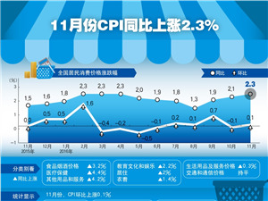 11月份CPI同比上漲2.3%_副本.jpg