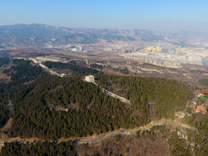 300山東原山林場.jpg