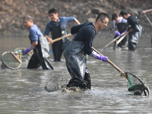 社會(huì)4-300.jpg