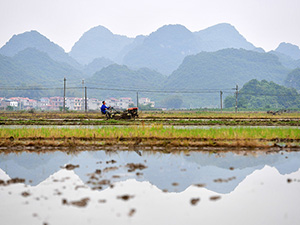 未標(biāo)題-1 副本.jpg