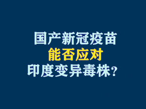 【短視頻題圖】國(guó)產(chǎn)新冠疫苗能否應(yīng)對(duì)印度變異毒株？.jpg