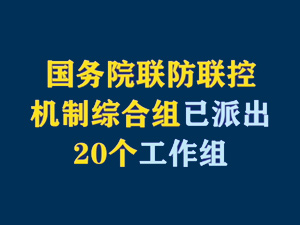 【短視頻題圖】國務(wù)院聯(lián)防聯(lián)控機制綜合組已派出20個工作組.jpg